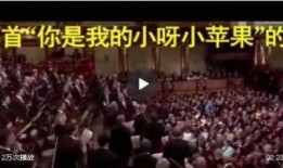 音乐大厅最新爆料视频,最新爆料视频带你领略现场魅力